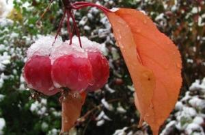 Первый снег выпадет в середине октября