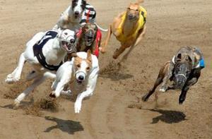 Букмекеры назвали победителя парламентских выборов