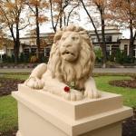 В Верманском парке поселились новые львы