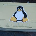 Рост древних пингвинов достигал полутора метров