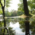 Затопленный в парке Аркадия стадион вернули к жизни