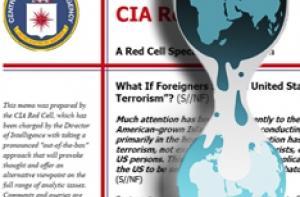 Wikileaks объявил сбор компромата на Россию