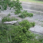 К вечеру опять ожидается буря