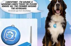 Собаки смогут вести микроблог на Twitter