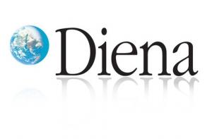 Акции Diena может купить Mediju nams или человек Кремля