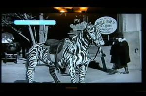 Раскрыта тайна дамы с мобильником из 1928 года (ВИДЕО)