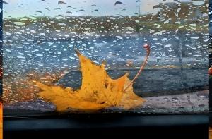 Синоптики: Октябрь был прохладнее, чем обычно