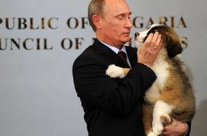 Путину подарили собаку