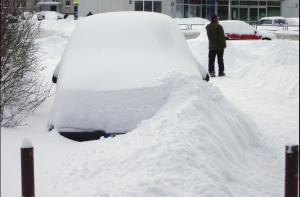 Депутаты Рижской думы расчищали от снега Вецмилгравис