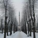 Новый год можно встретить с Милдой и салютом