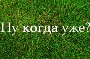 Фенологи обещают весну в конце февраля