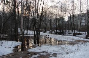 Синоптики: следующая неделя будет теплой