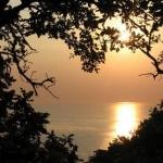 Большинство жителей Латвии отпразднуют день Святого Валентина