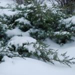 Где была самая холодная ночь?