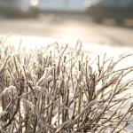 От мороза пострадали 20 человек