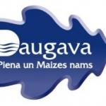 Председатель Daugava не собирается продавать бизнес