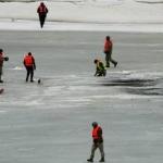 Сотрудники ГПСС вытащили из реки оленя