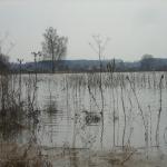 Главный метеоролог: наводнения этой весной не избежать