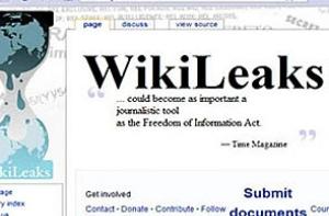 WikiLeaks раскрыл схему вооружения Грузии