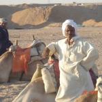 В Египте подводят итоги референдума по конституции