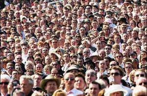 За день переписи анкеты в интернете заполнили 45 000 человек