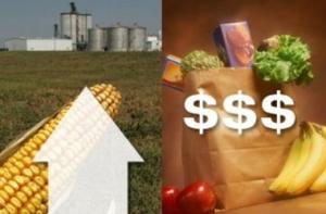 Мировые цены на продовольствие установили новый максимум