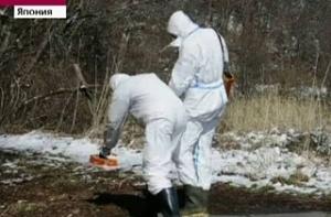 Японская радиация проникла в Россию