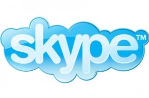 Американская пара поженилась по Skype