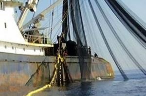 В ЕС хотят запретить выбрасывать рыбу