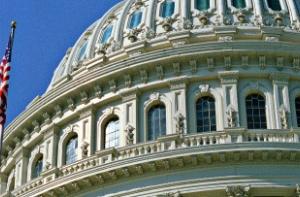 В Вашингтоне арестованы 113 участников антивоенного митинга