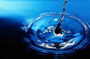 В Токио повысился уровень загрязнения воды