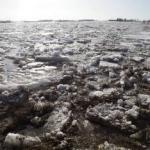 Возле Плявиняс стремительно растет уровень воды