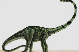 Ученые сконструировали модель 22-метрового маменчизавра