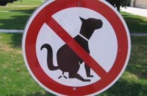 Китайские защитники животных спасли сотни собак от поедания