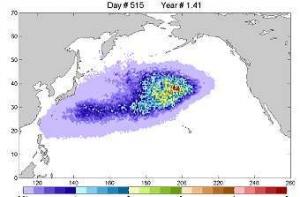 Гавайям пообещали двойной удар от японского цунами