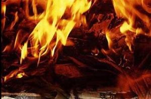 В пожаре в Добельском крае погибли два человека