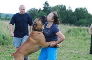 Арестованы подозреваемые в похищении сына Касперского