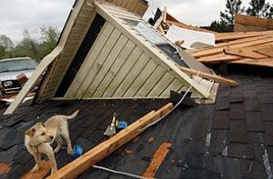 Японии обещали десятилетие землетрясений