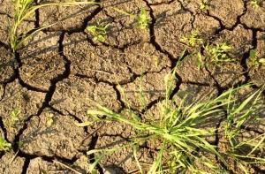 Европу пугают засухой и наводнениями