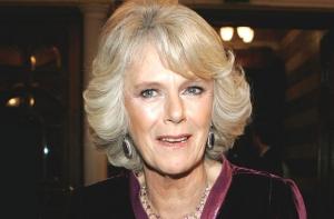 Камилла Паркер-Боулз требует от принца Уильяма наследника