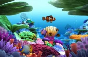 На популярном курорте нашли новые виды рыб