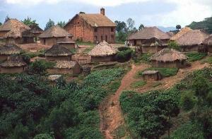 В Конго каждый час насилуют 48 женщин