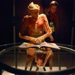 157 латвийцев готовы стать экспонатами выставки «Bodies Revealed»