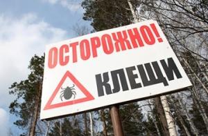 1,02 % проверенных клещей инфицированы энцефалитом