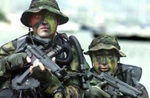 Walt Disney отозвал заявку на торговую марку отряда «морских котиков»