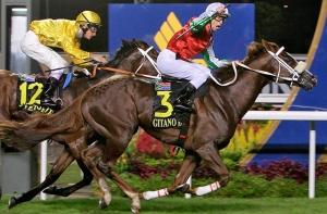 Лошадь Кадырова выиграла 3 млн долларов на скачках в Сингапуре