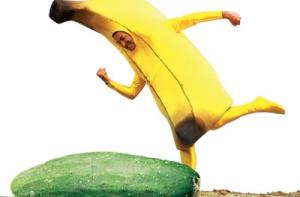 Европа в панике отказывается от еды