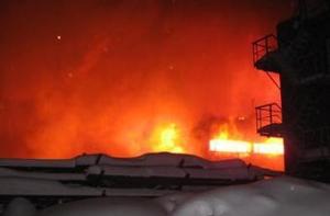 Назначена экспертиза пожара под Тукумсом