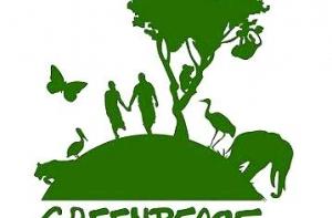 Гринпис беспокоят торфяные пожары в Подмосковье