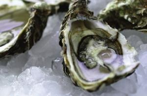 Во Франции начался кризис на рынке устриц